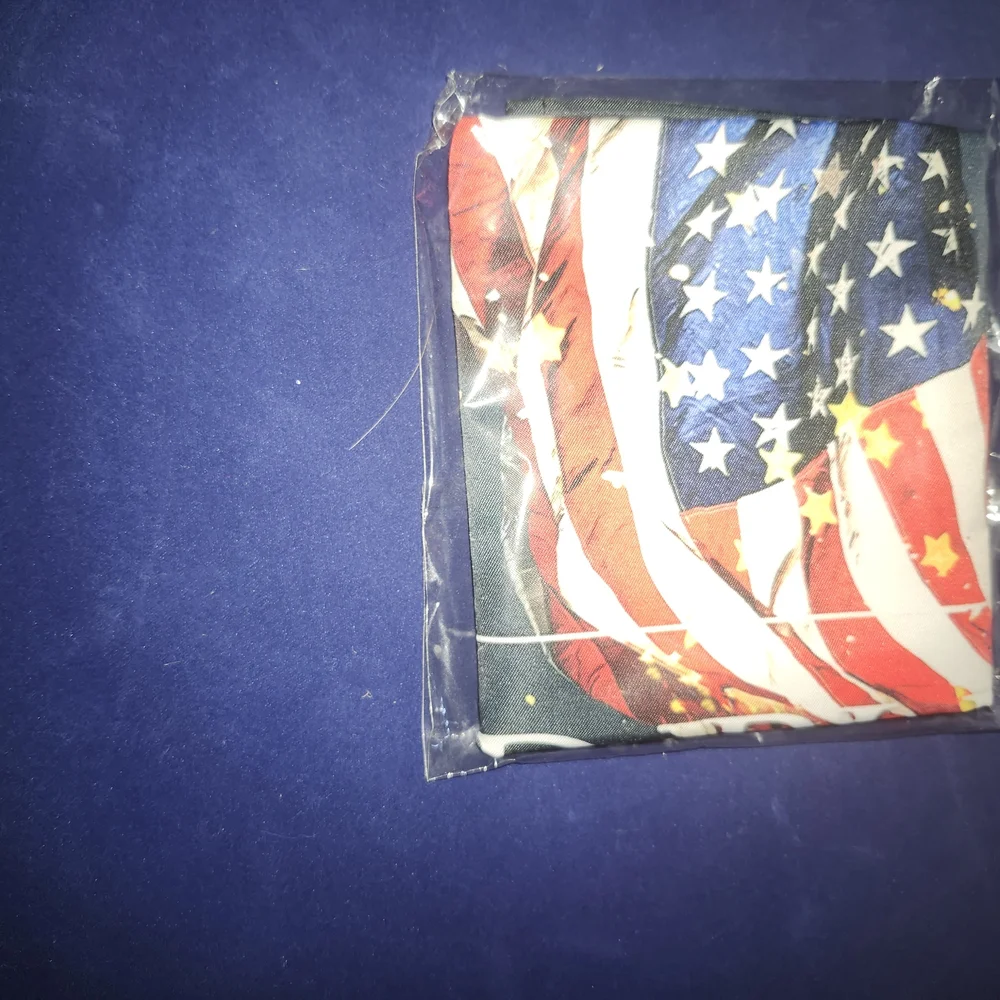Style USA Patriotic Eagle Tapestry - Red, Blue, White